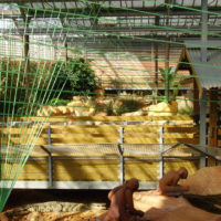 Installations et Expositions - Diagonales Vertes - La Ferme aux Crocodiles - 2006