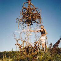 Installations et Expositions - L'amphore de Bacchus - Saint Restitut 2002