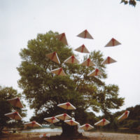 Installations et Expositions - Les Oiseaux Migrateurs - St Martin d'Ardèche 2001